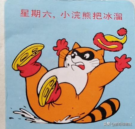 斑鱼狗:北美灰狼与非洲斑鬣狗单挑，谁能赢？
