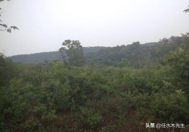 新沂马陵中学灵异事件:你都知道哪些与咱山东有关的典故、神话、寓言、民间传说等故事？