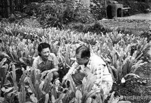 张学良睡过蒋介石老婆:张学良曾被蒋介石囚禁哪里？