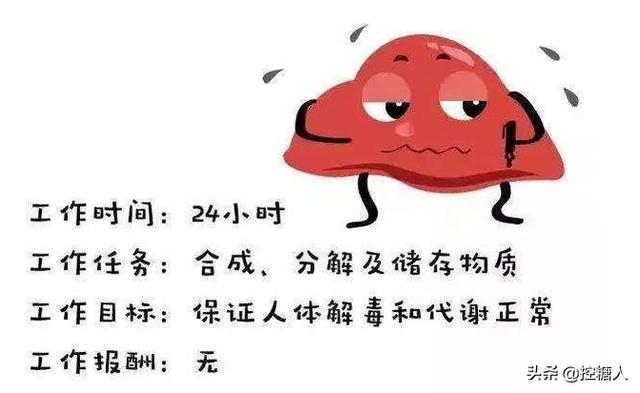 业障重女人的表现,女人肝不好，身体会有哪些表现？如何调养？