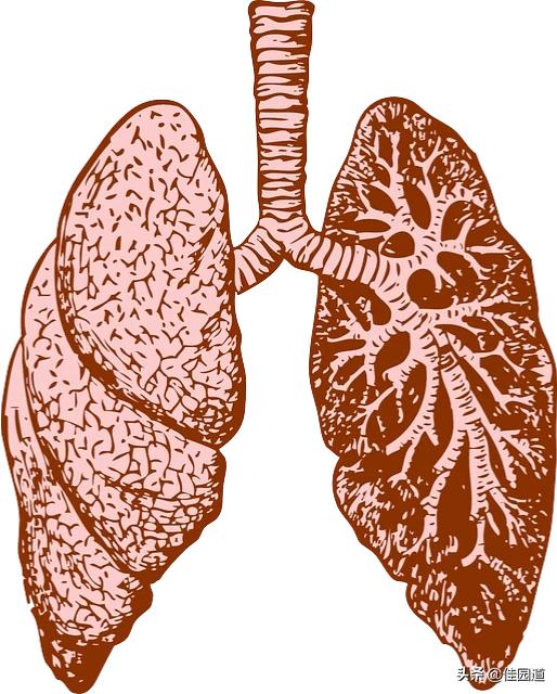 鞍山新型冠状肺炎疑似病例，如果被肺炎感染了一直没发热，到最后还会发热吗，会呼吸困难吗？