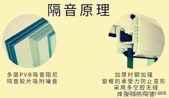 猫咪猎手vr手机游戏:猫，每天早上不到六点吵醒我怎么办？