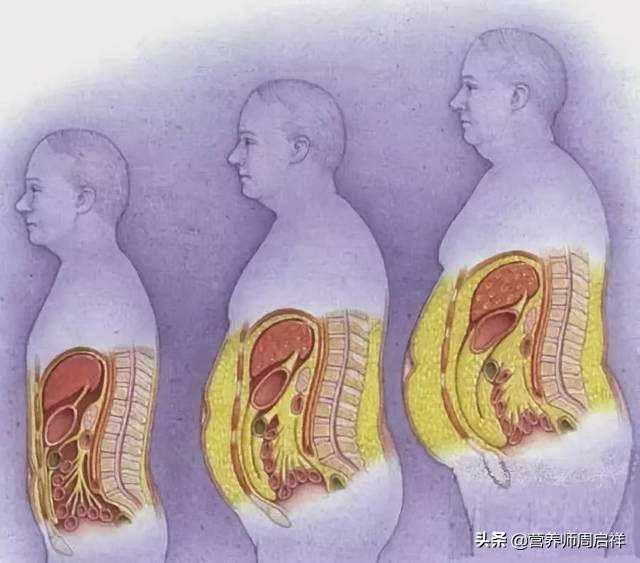 内脏脂肪该怎么减?(王栋聊健身的回答,0赞)