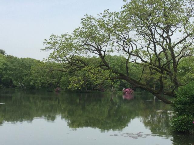 能分享几张特别漂亮的真实风景照吗