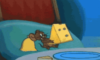 《猫和老鼠》中那种全是洞洞的奶酪叫什么名字，味道如何？插图26