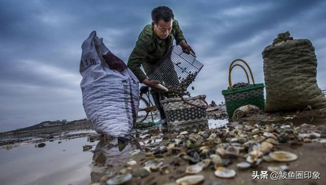 大连赶海里有什么鱼:大连赶海地方叫什么名字 在大连，这个季节在海边岸钓可以钓到什么鱼？