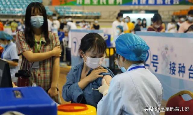 小猫的第一针疫苗什么时候打:8月份还可以接种疫苗第一针吗？