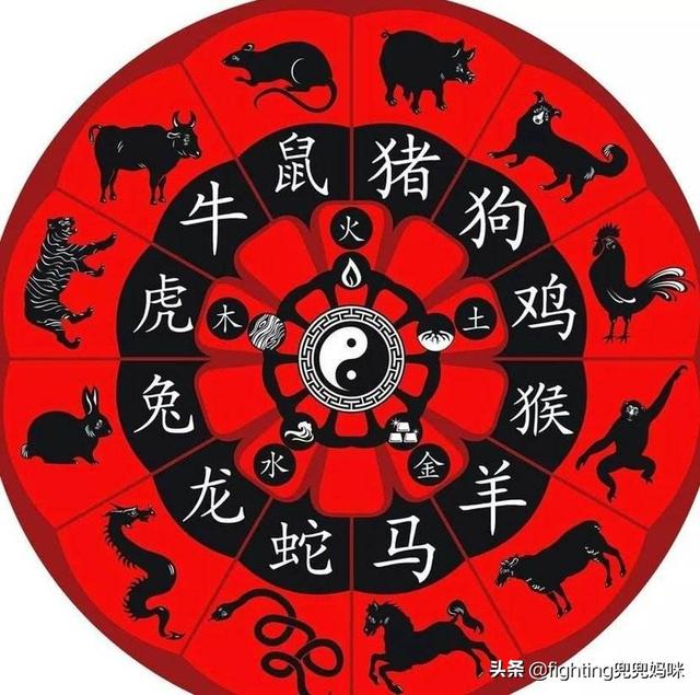 藏龙卧虎的意思:12个生肖每只动物写出5个成语