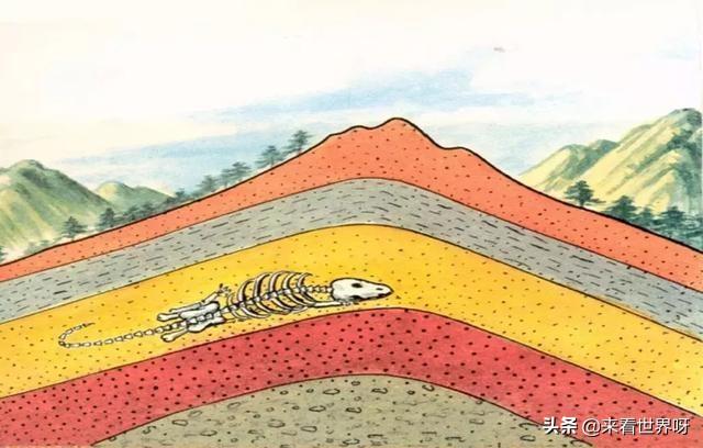 巨人骨骸:恐龙通过化石了解的，是不是地球一点点变大，把他们埋到地下了？