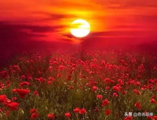 如何用一句话祝福即将踏入校园的学生？