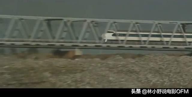 日韩3伦理色狗狗影视:日本电影《追捕》在日本反响如何？