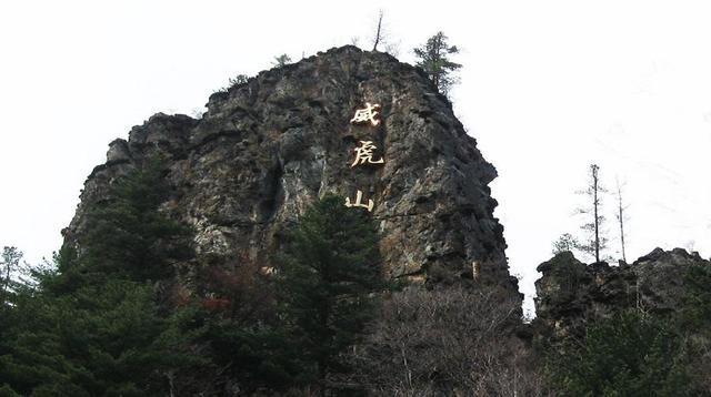 座山雕比喻什么:历史上真实的座山雕是什么样子的？