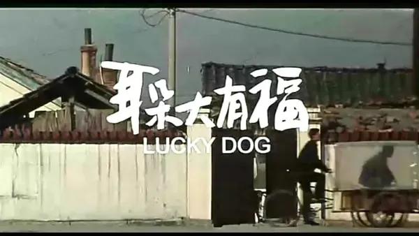 推荐几部电影，表现中年人的无奈的接地气的电影或者电视，谢谢？
