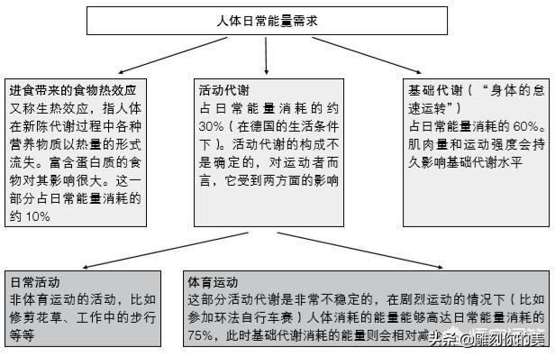 怎么算自己的热量缺口，基础代谢×运动系数后，还需要加上每日运动下面的卡路里吗