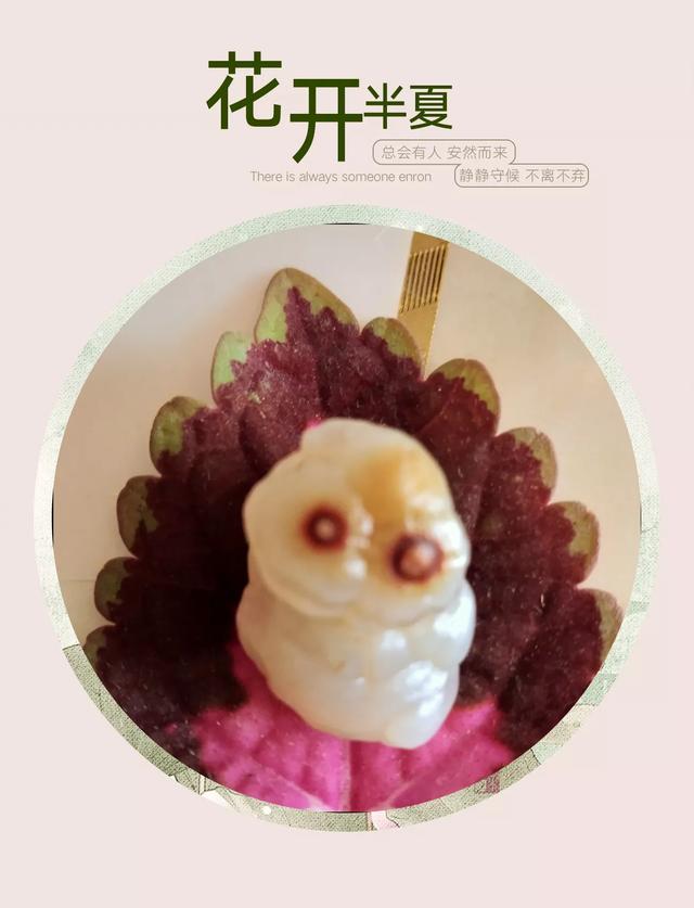 天然大化石原石图片,中国最具影响力的天然奇石有哪些？