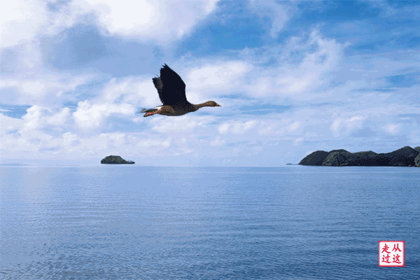 头条问答 - 10月份去青岛旅游5天带多少衣服合适?(7个回答)