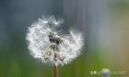 互联网营销适合男生学,还是女生学呢？有何建议？