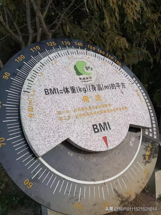 女性bmi多少正常？
