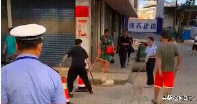湖南宠物网:“遛狗不牵绳，一律捕杀”，湖南永州城管的做法你怎么看？