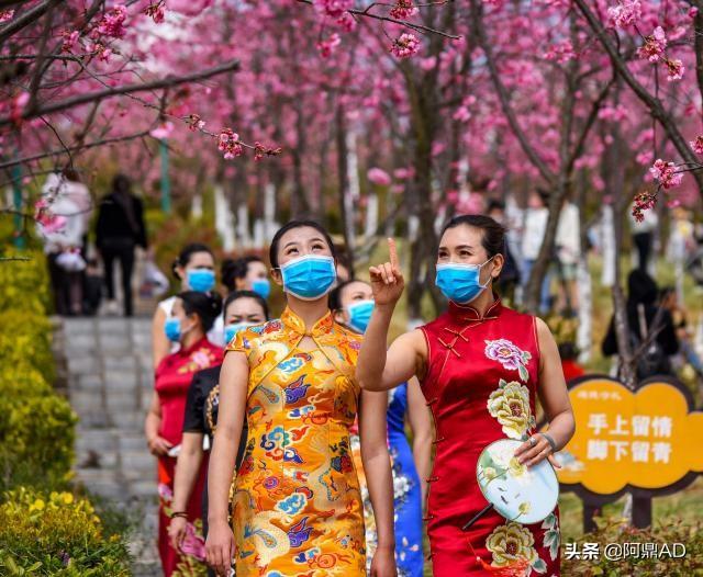能推荐几个,内存大,速度快,拍照好的手机吗,重要的是价格低？