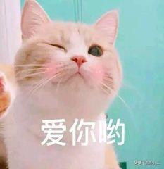 何超莲评论周扬青:如何看待我男朋友认为周扬青做得过分了？