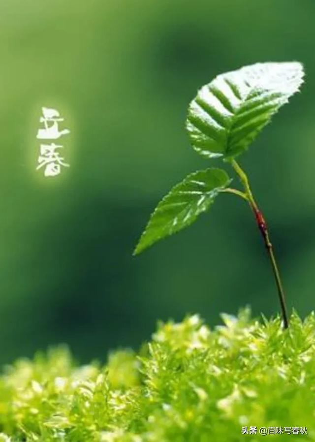 立春的诗词,你知道哪些？