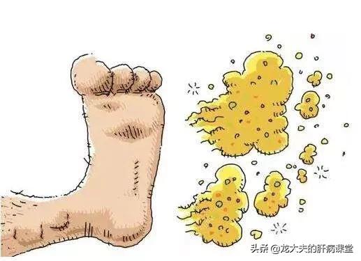 皮肤病传染:皮肤病传染的途径 宠物的皮肤病一定会传染给人吗？