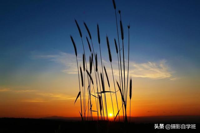 火烈鸟图片:阿塔卡玛沙漠100年才能接满1杯水，为何还生活着100万人？