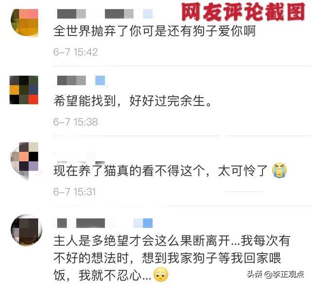 关于狗狗的感人故事:武汉一狗主人跳桥，狗狗守桥几天不走，忠诚让人感动，怎么回事？