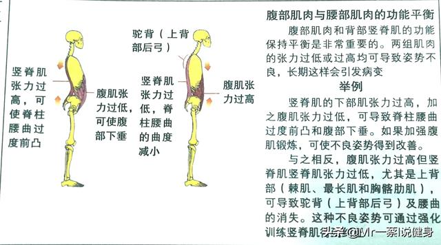 端腹的标准动作的好处，悬垂举腿的好处有哪些，如何从零开始掌握悬垂举腿