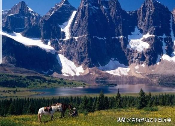 杨旭简介:“我们可以卑微如尘，但不可扭曲成蛆”，怎样理解