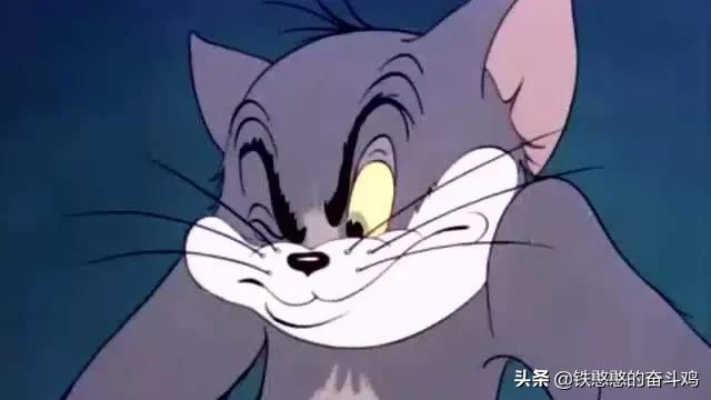 猫的种类介绍及图片:影视动画《猫和老鼠》中的猫，是什么品种？有何证据？