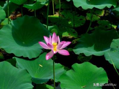 有没有描写春夏秋冬的极品诗句？:春夏秋冬的古诗各一首 第10张