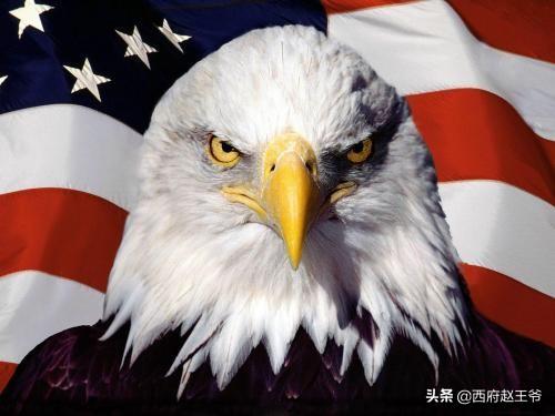 刘芬芬:加拿大才6万兵力，为什么美国不吞并它，统一北美洲呢？