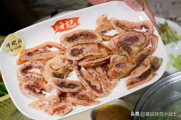 南宁有爱斯基摩狗卖:南宁萨摩耶哪有卖 你知道的最恶心的一道菜是什么？