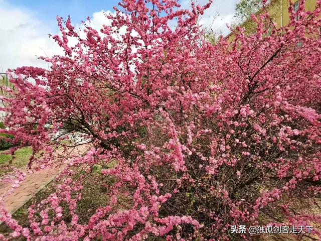 有的中年夫妻是因为孩子才凑合过一辈子吗？