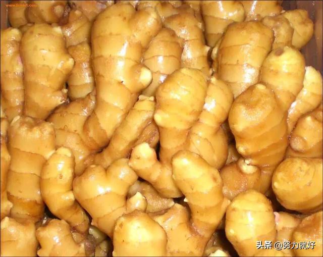 头条问答 生姜出窑后催芽前为何要进行晒姜和困姜 7个回答