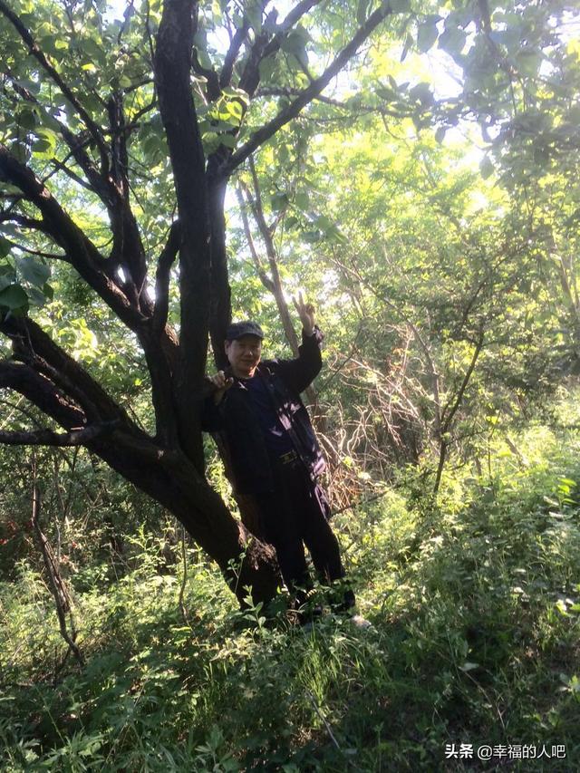 现在很多中老年人热衷于抬腿，压腿，拉筋，这样做对身体益处大吗？插图27