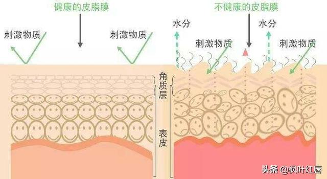 拜宠爽作用原理:如果一个农民发现了反重力的原理，他该怎么办？