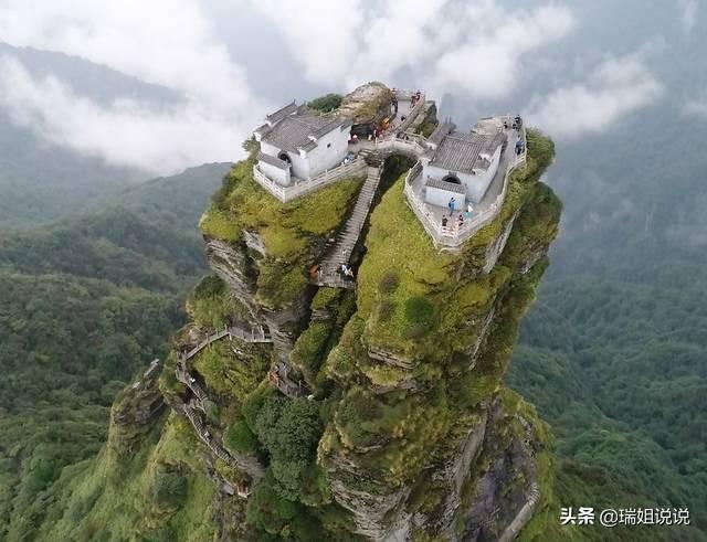 杜鹃花多少钱一株楼梯:赣州的苗木花卉主要有些什么品种？哪个比较好？
