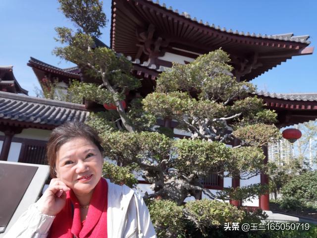 寒舞照片:你见过最让你心生悲凉的nba照片是哪张？