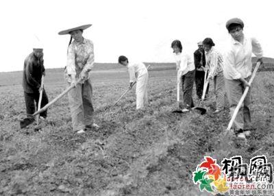 极度凶蛛:父亲总是凶我对我发脾气，现在越来越不喜欢他了怎么办