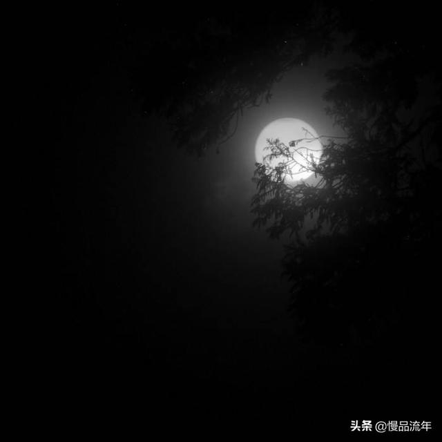 蒋欣叶祖新结婚照:王思聪为什么不追门当户对的女人而要找网红？