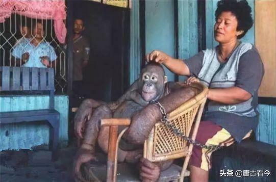 英国卢浮宫灵异事件:最近英国汉普顿宫闹鬼的视频是怎么回事？