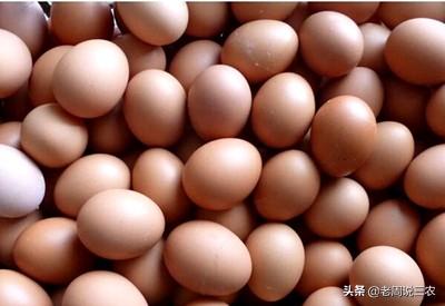鸡蛋这么便宜,养殖户还能赚到钱吗？为什么会导致鸡蛋这么便宜？
