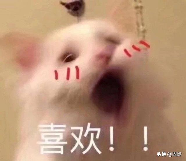 好听微信昵称英文字母:带英文字母或者单词的网名?(冷门又优美的英文单词)