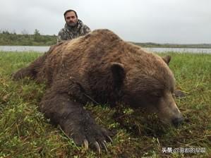 欧洲野牛在哪里打:欧洲野牛怎么打 罗马斗兽场上场过哪些猛兽？