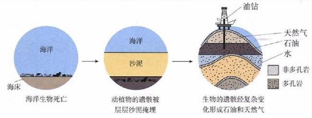 石油是如何形成的石油是古生物形成的吗