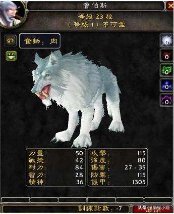 魔兽世界猎人21级抓什么宝宝好？