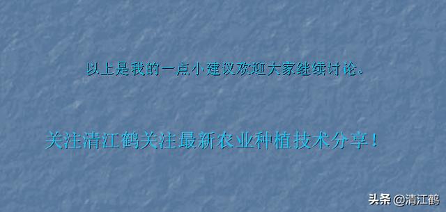 十字花科蔬菜软腐病:十字花科蔬菜软腐病的防治措施包括 种菜不到收成的日子烂了怎么办？